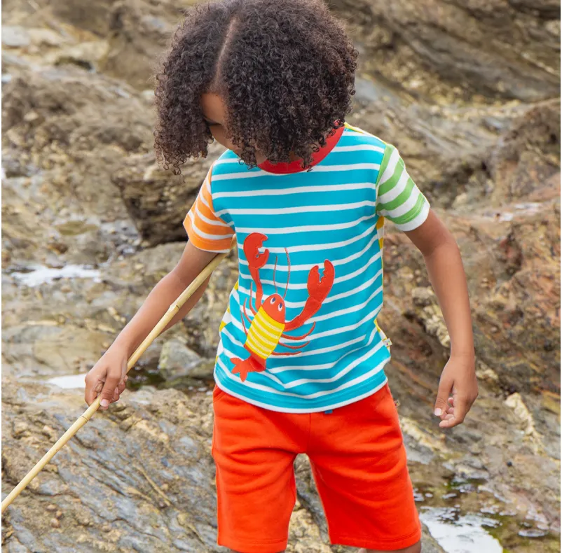 Frugi Hotchpotch Applique T-shirt - Hotchpotch / Lobster