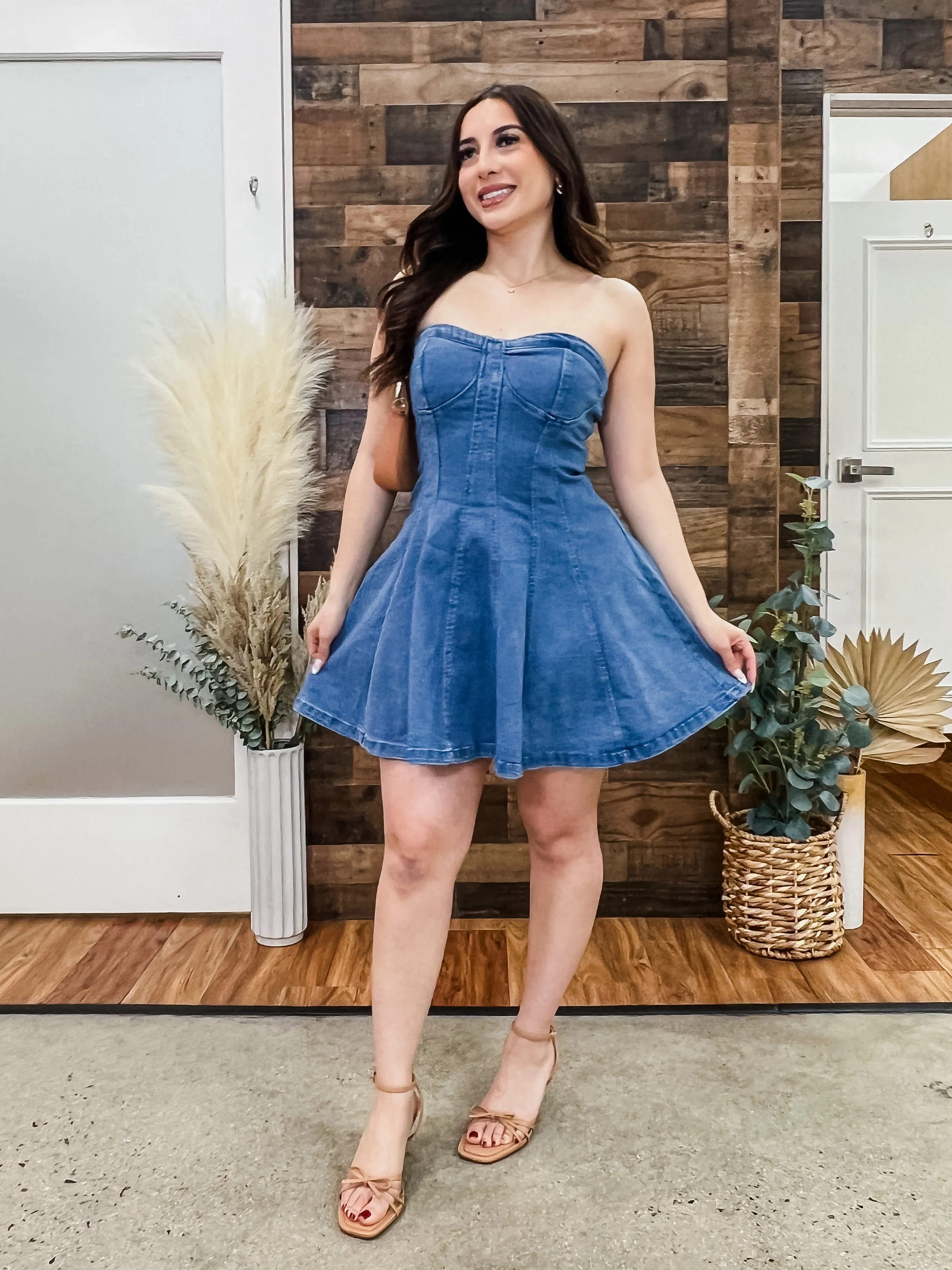 Haley A-Line Denim Stretch Dress
