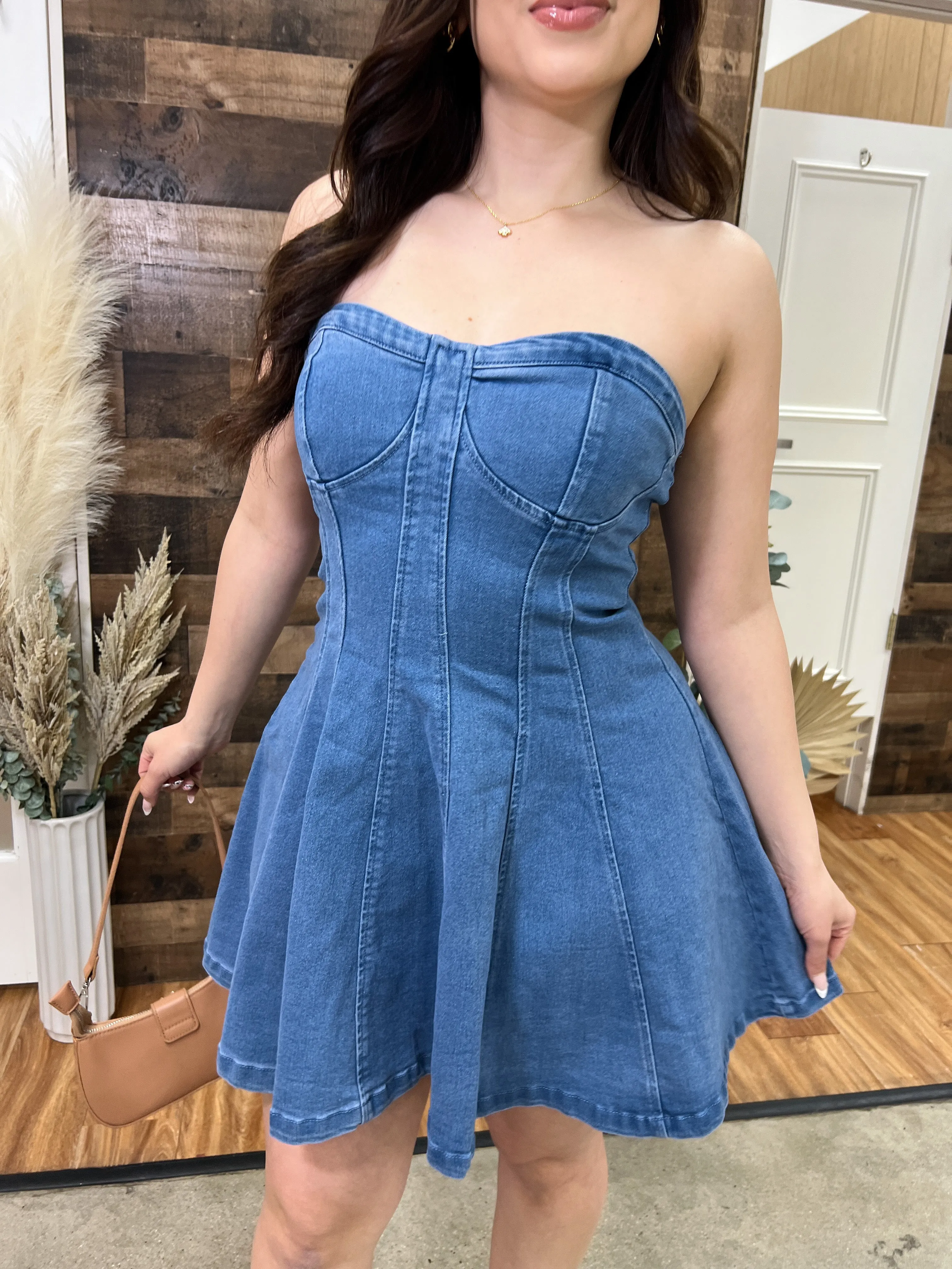 Haley A-Line Denim Stretch Dress