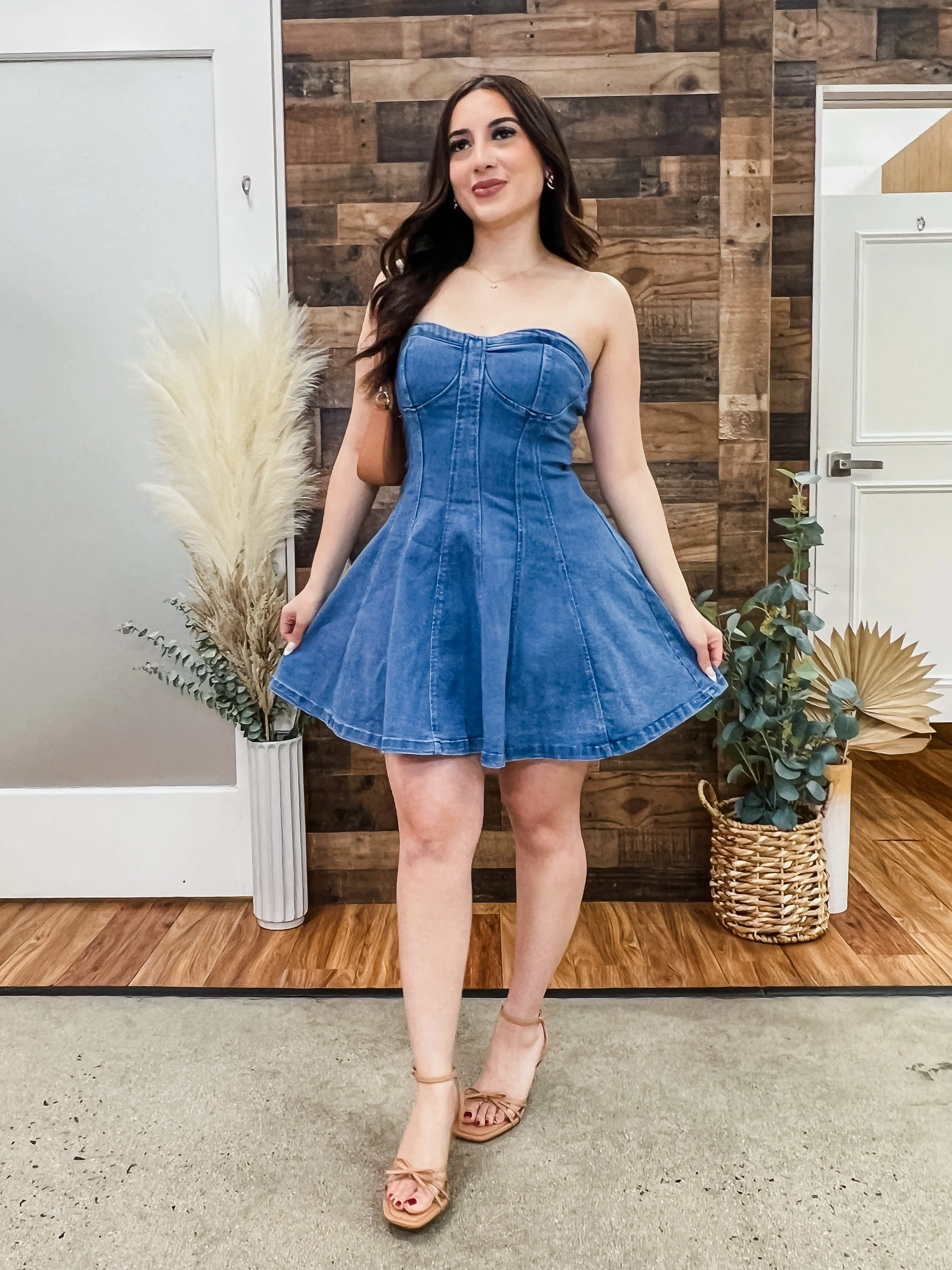 Haley A-Line Denim Stretch Dress