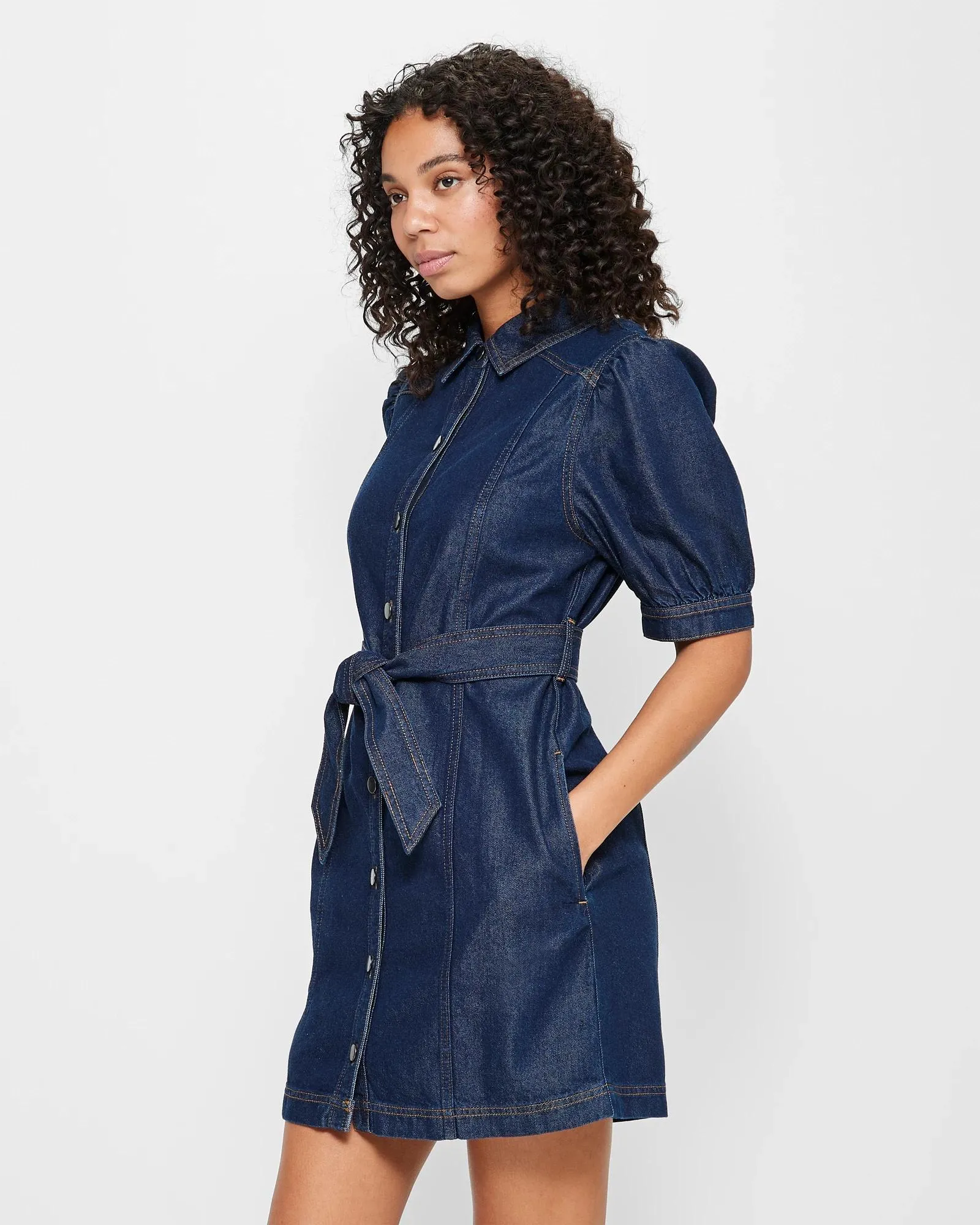 popular  Puff Sleeve Panelled Denim Dress - Rinsewash