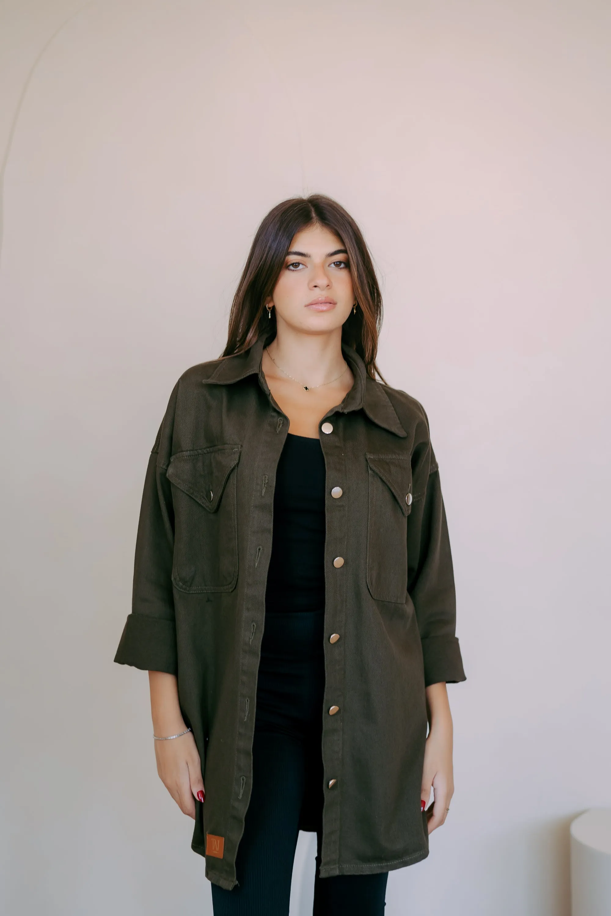 The Denim Shirt