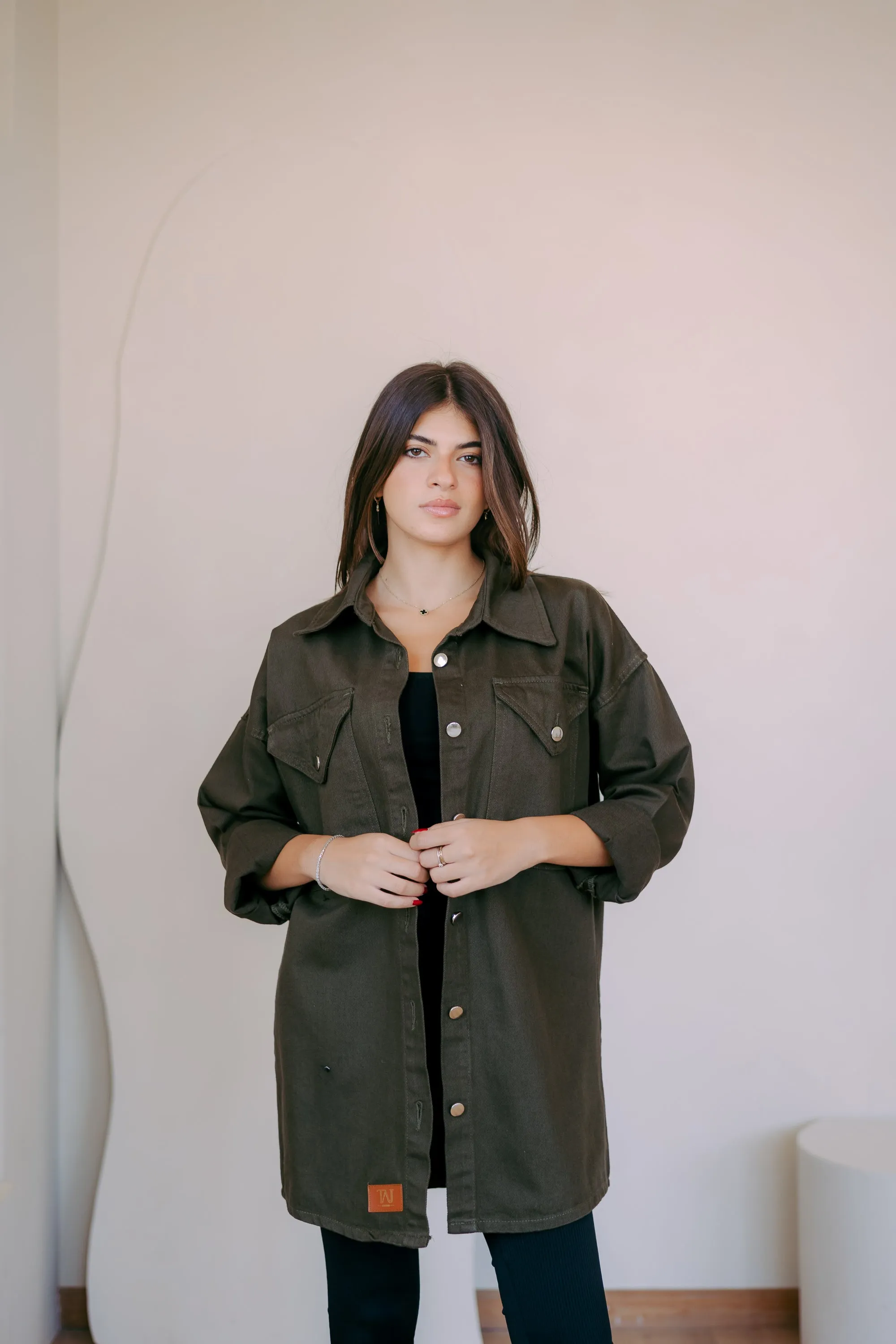 The Denim Shirt